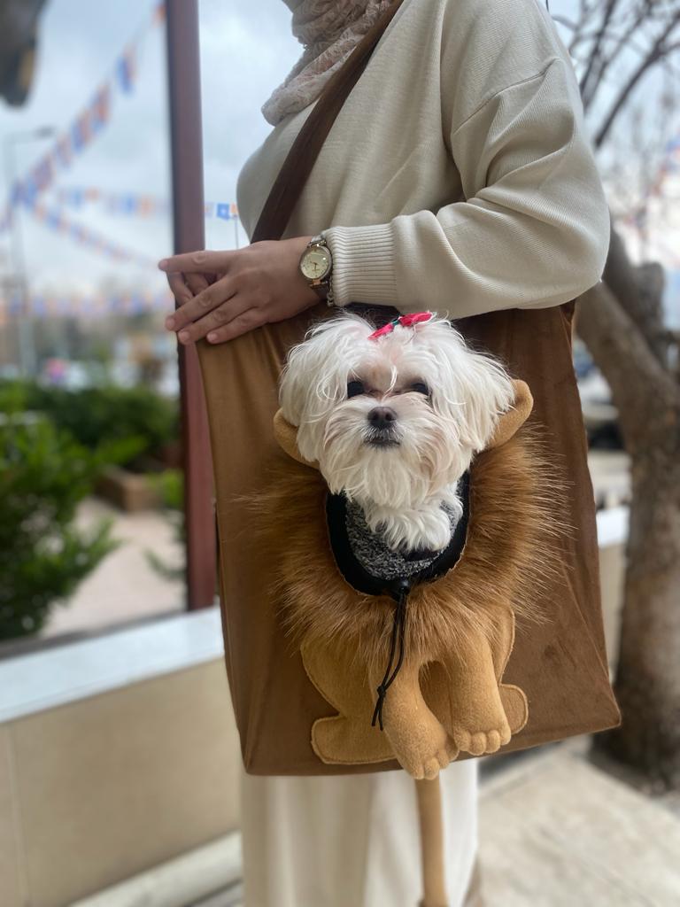 Müdür - Müdür Pet Aslan Model Omuz Çantası Kahverengi